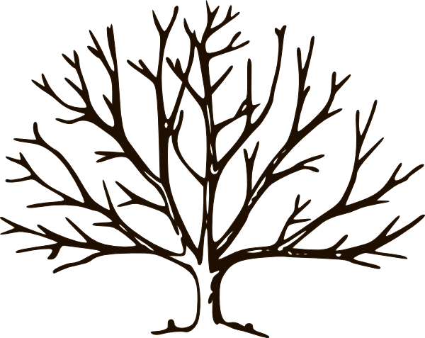 Empty tree clipart full page 