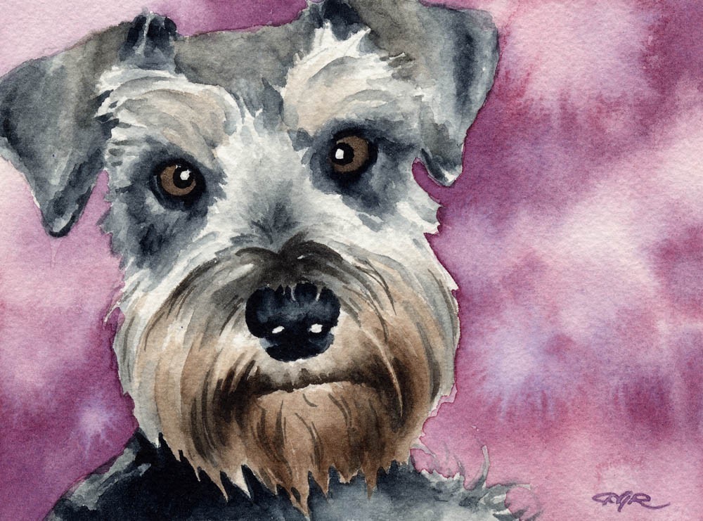 schnauzer paintings - Clip Art Library
