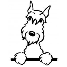 Miniature Schnauzer Coloring Pages Clip Art Library Hot Sex Picture