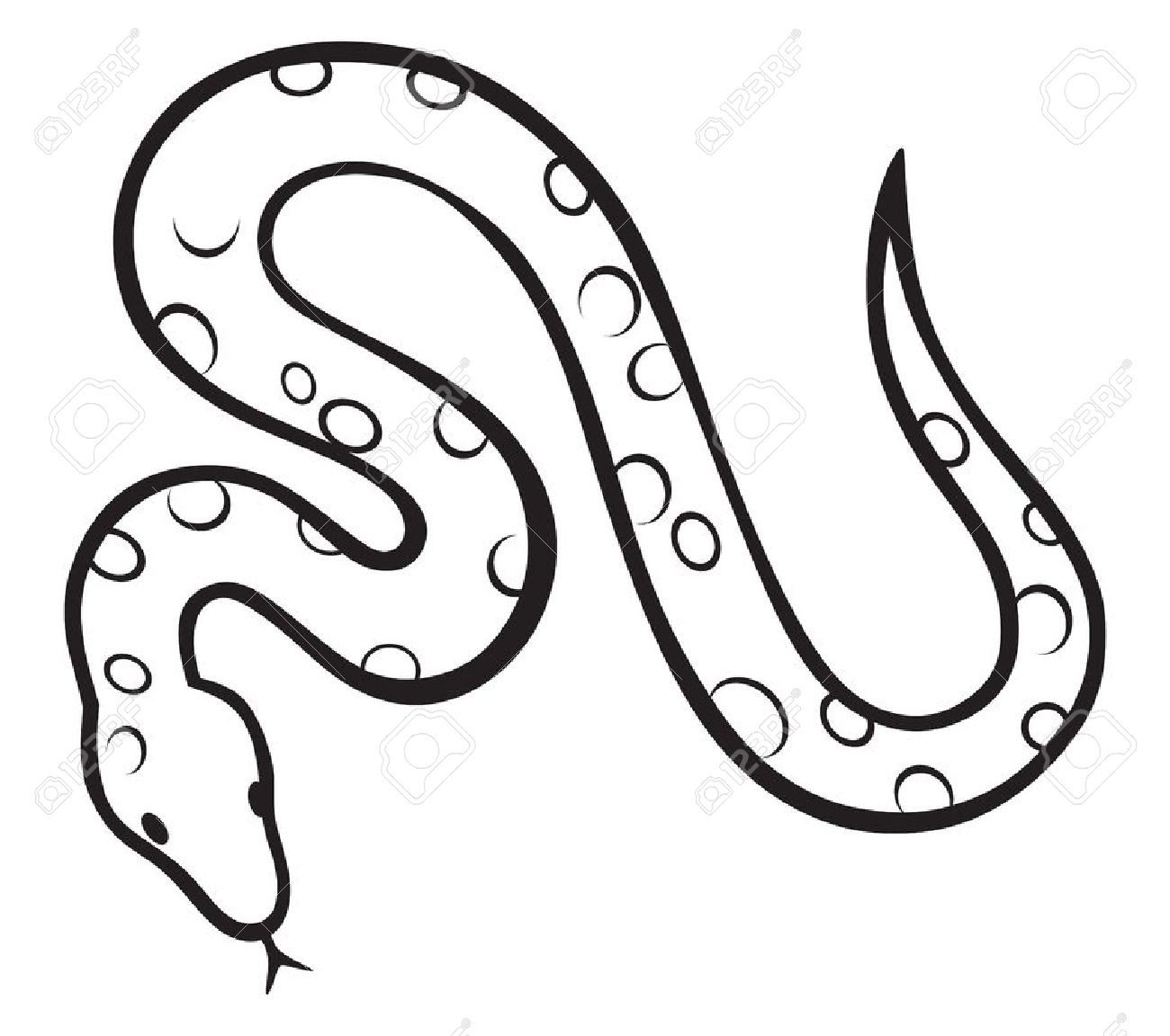 Clipart black and white snake 