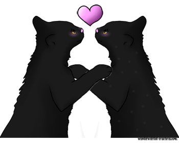 Black Cat Cartoon Valentine Cartoons,Echo&Cute Cartoon Black 