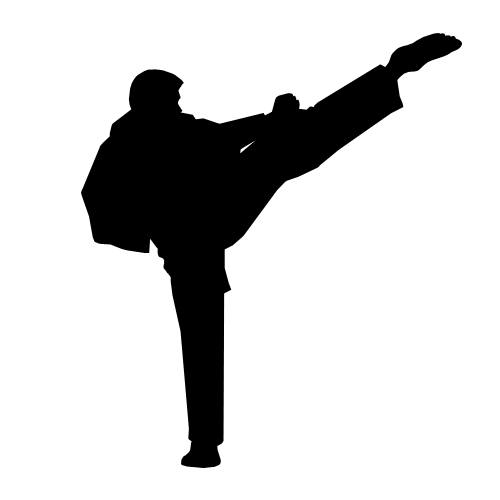 Stunning Karate Silhouette Vector Free Download 