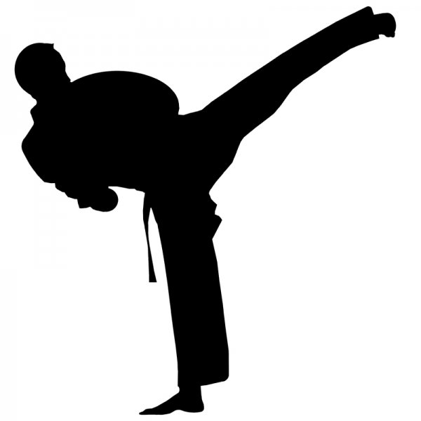 Martial Arts Silhouette 