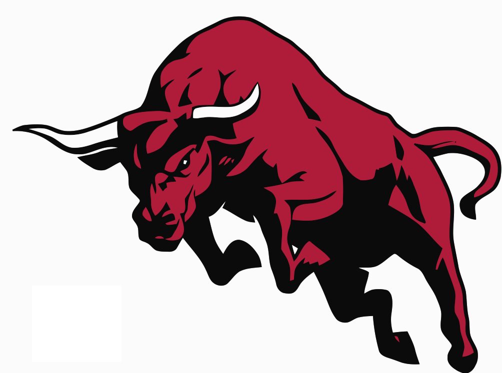 Bulls Logo Clipart 