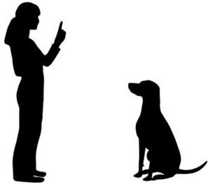 Dog Training Clipart 