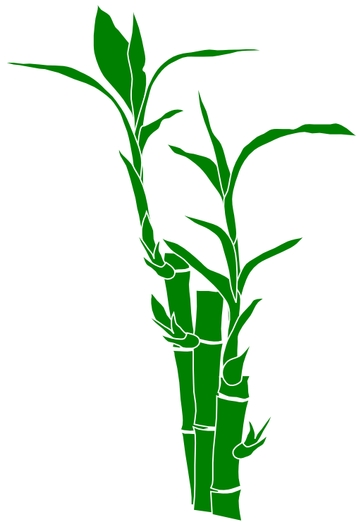 Bamboo clipart no background 