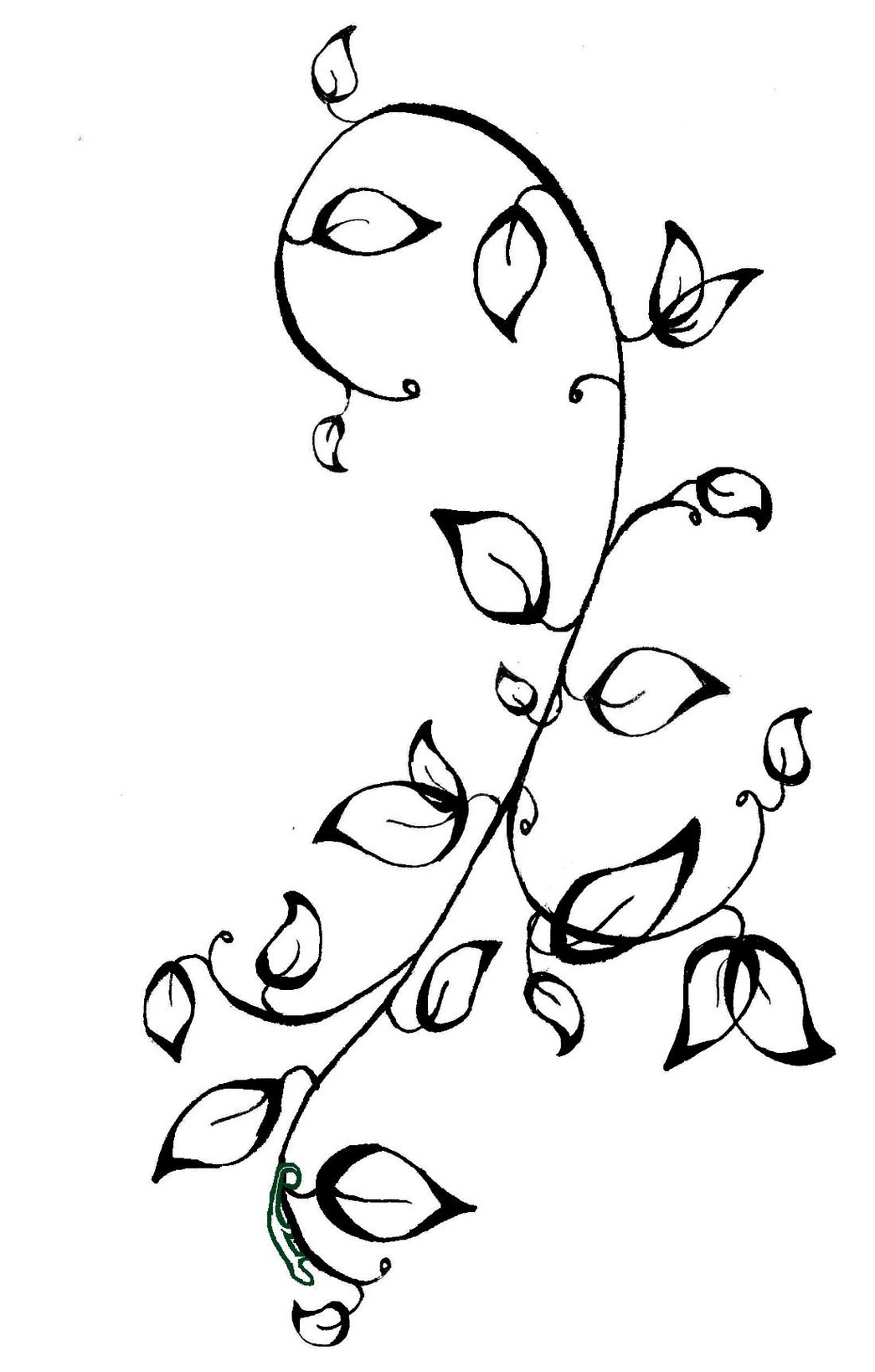 Free Black And White Vine, Download Free Black And White Vine png