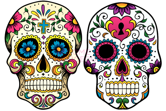 Free Navy Skull Cliparts Download Free Clip Art Free Clip Art On Clipart Library