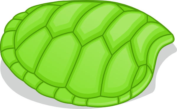 Turtle Shell Cartoon 