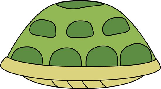 Ninja Turtles Shell 