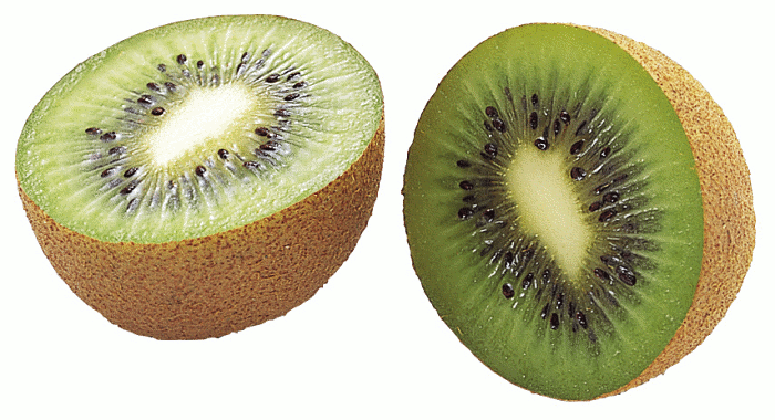 Free Kiwi Fruit Clipart, 1 page of Public Domain Clip Art 