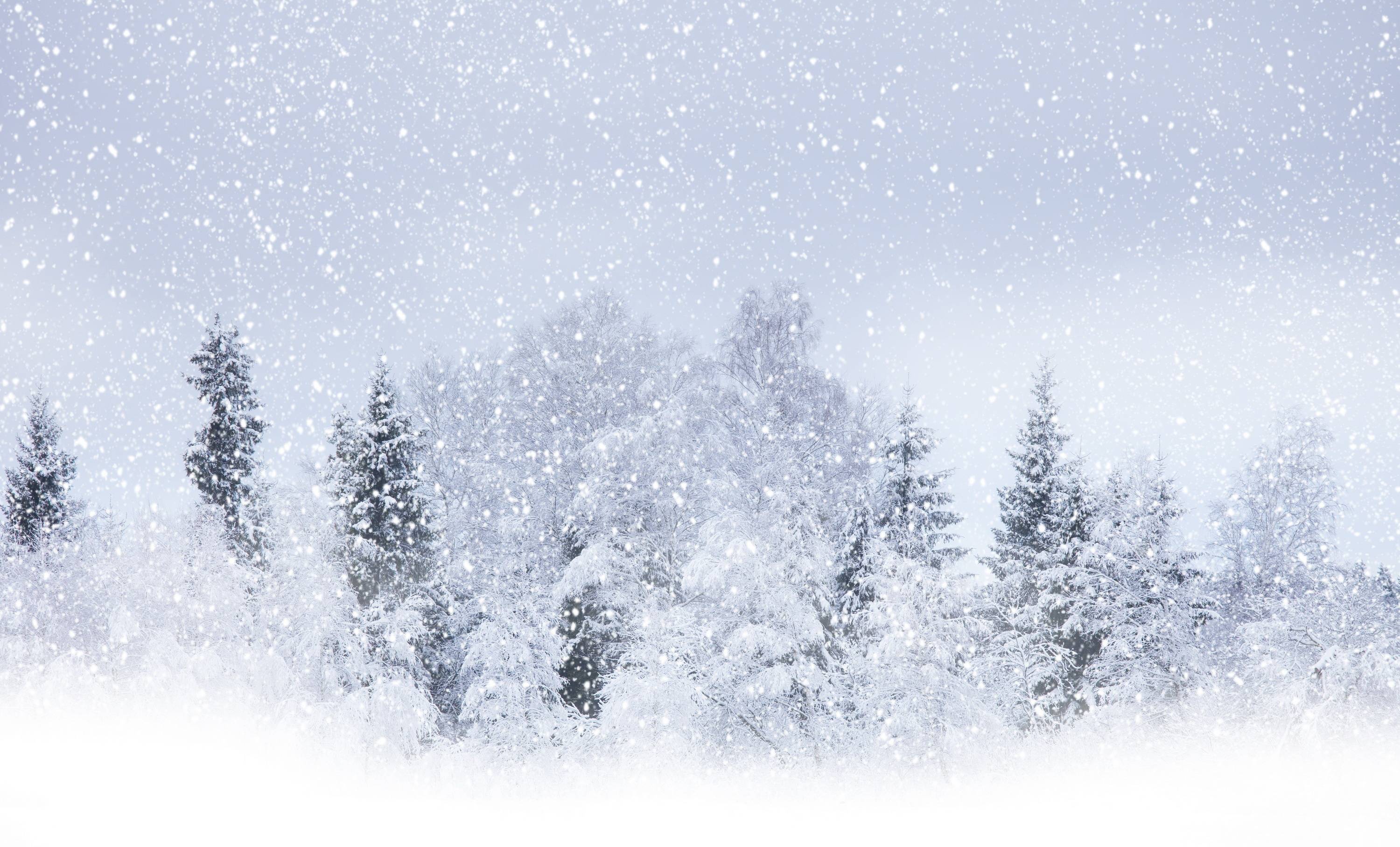 Snow Storm Wallpapers 