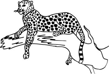 Black leopard clipart 