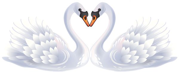 Valentine Swans PNG Clipart 