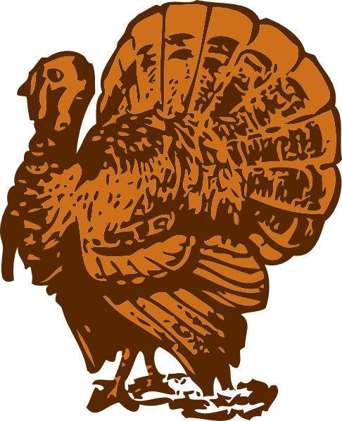 Brown Turkey Drawing Clip Art at Clker 