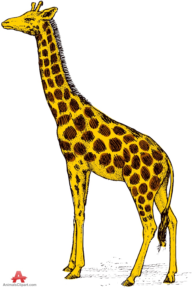 Yellow Giraffe Animal Stencil Clipart 