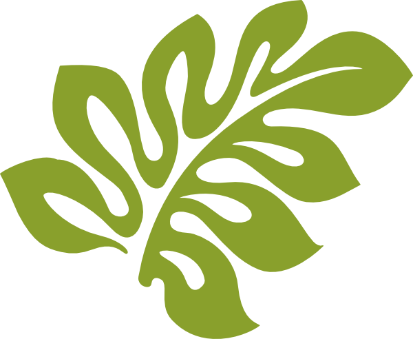 Palm Leaf Clipart 