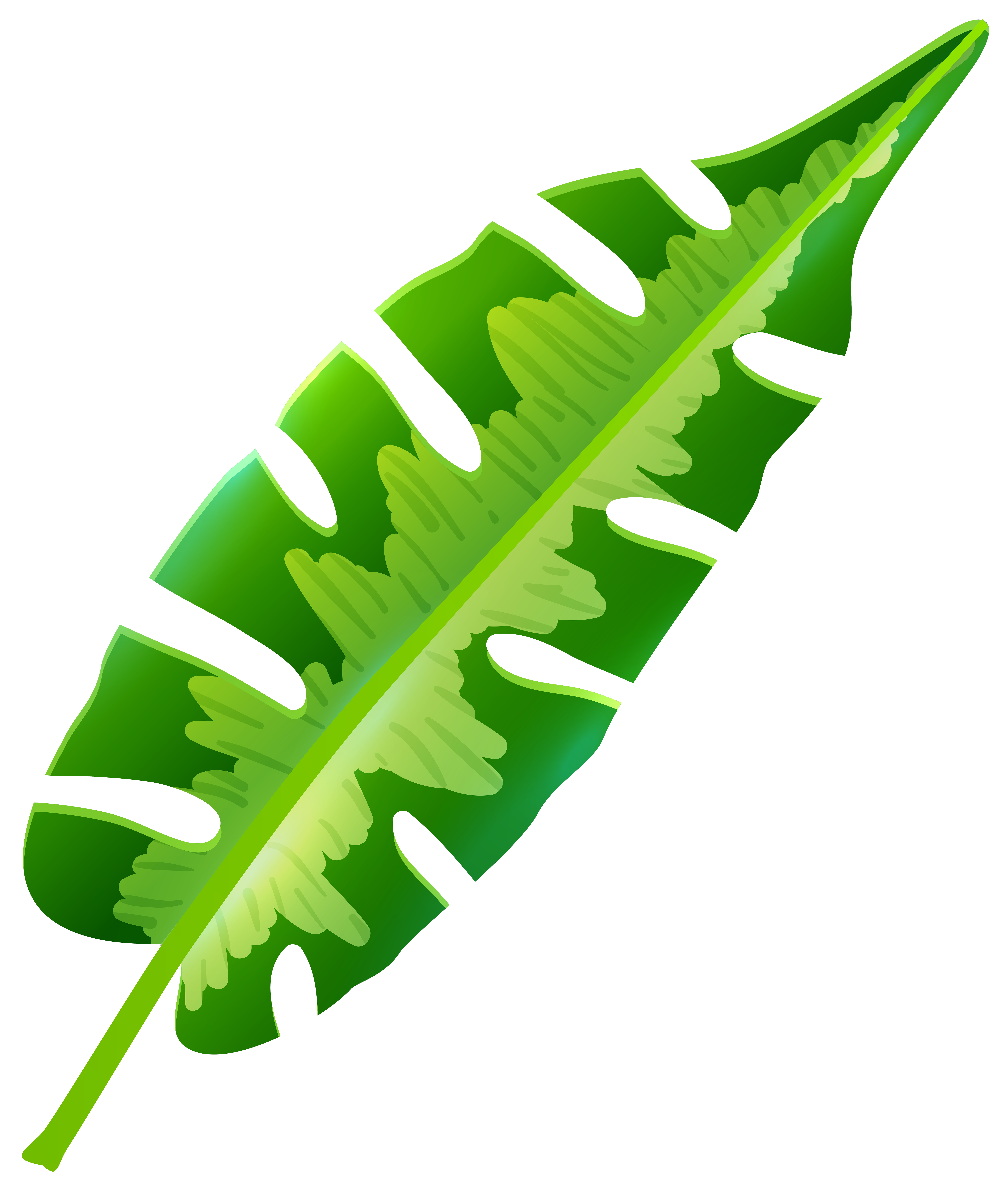 Tropical Leaf Clip Art � Clipart Free Download 