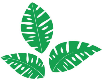 Tropical leaf clipart 