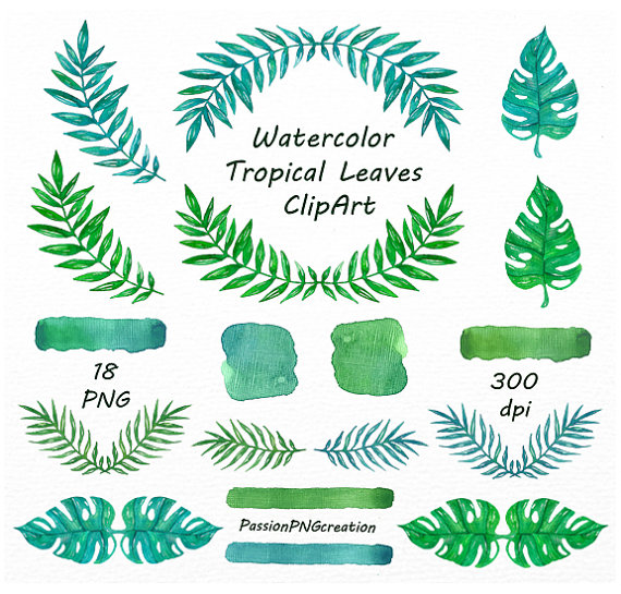 Watercolor Tropical Leaves ClipArt by PassionPNGcreation 
