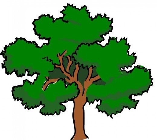 Cedar Tree Clip Art 