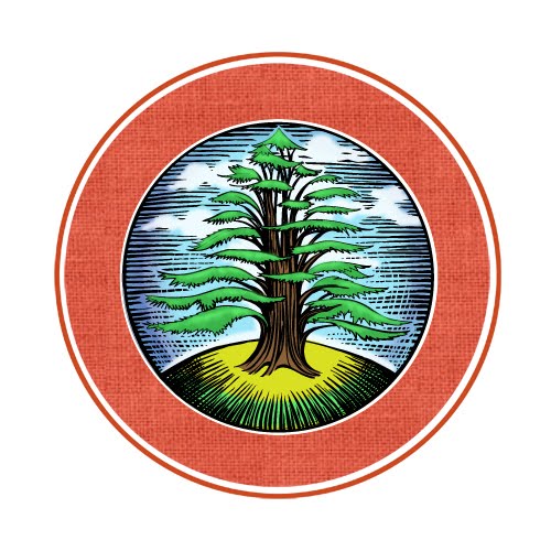 Lebanon Cedar Tree 