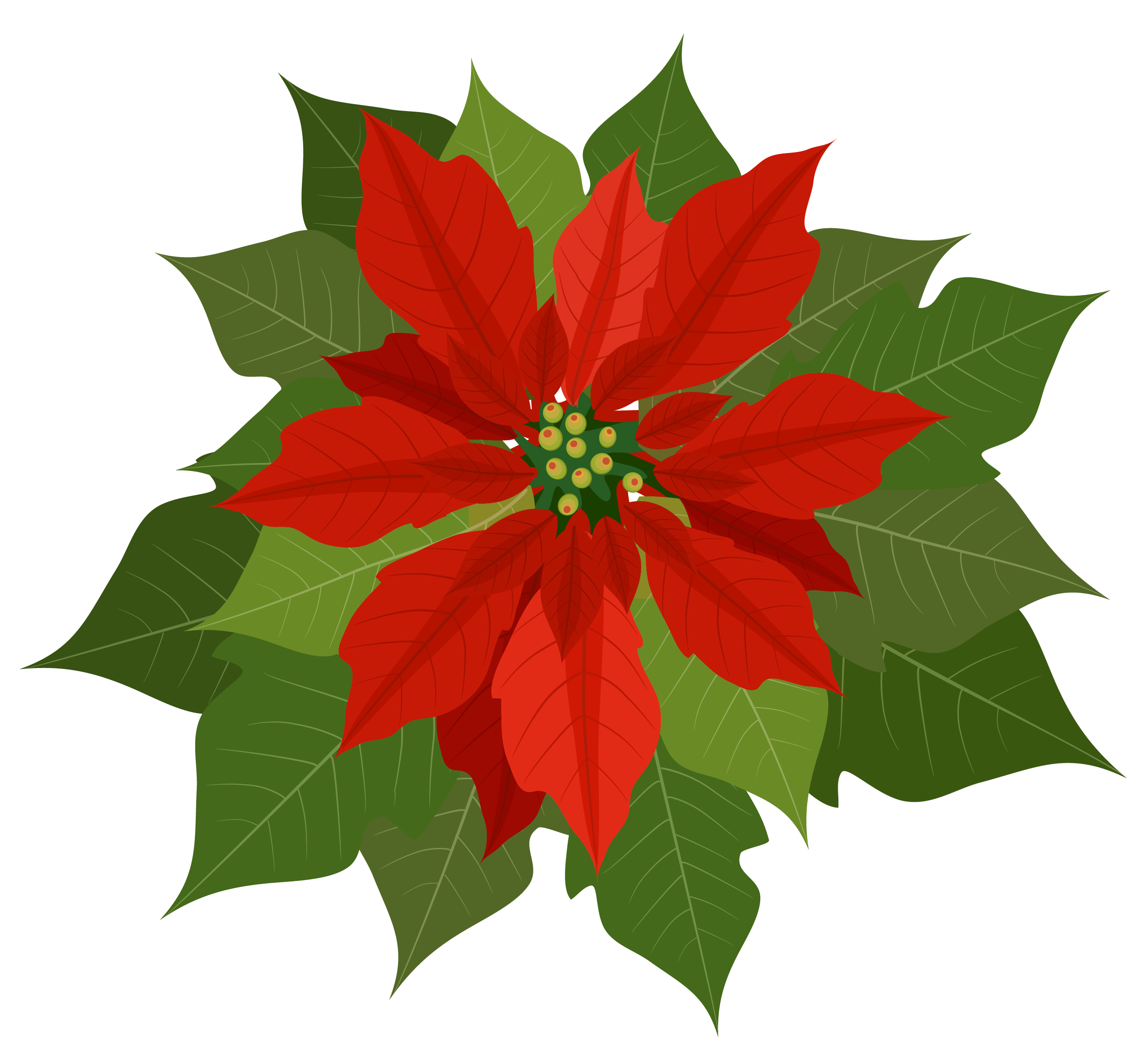 potted poinsettia clip art