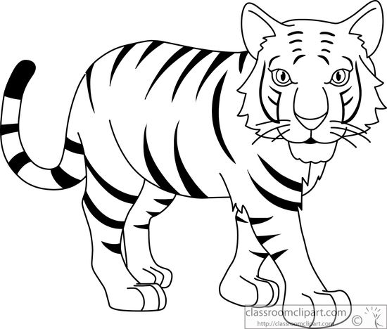 Tiger Black And White Clipart 