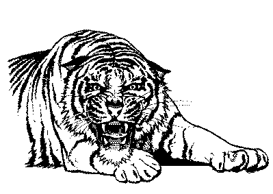 Tiger black and white free black and white tiger clipart 1 page of 