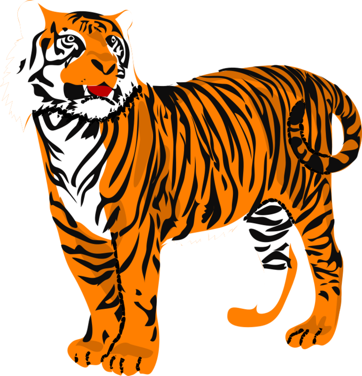 Tiger Clipart Black And White Panda Free Image Clipart 