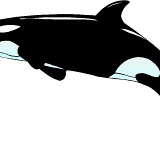 Tag For Whale clip art 