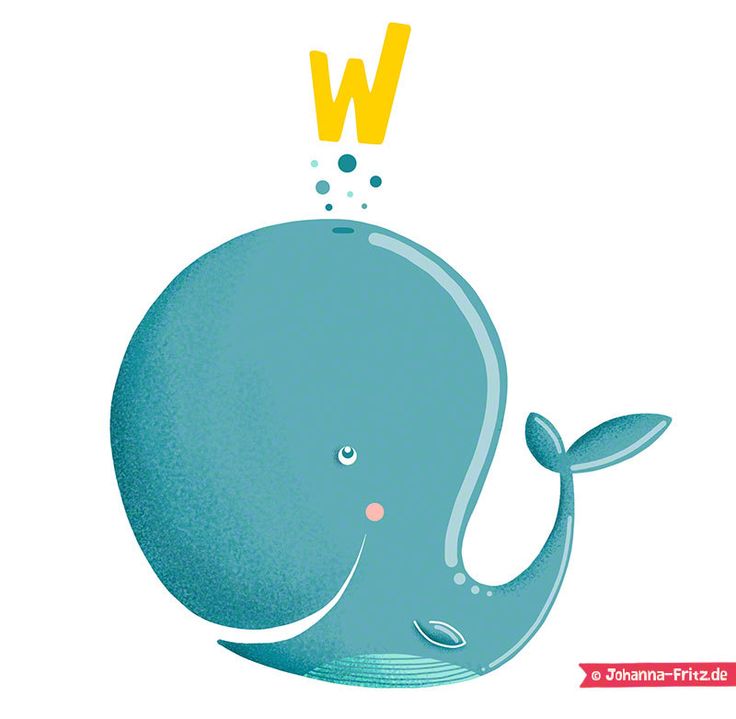 Whale Illustration 