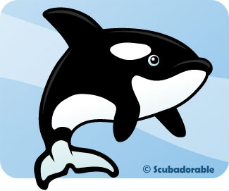 Baby Killer Whales Clipart 