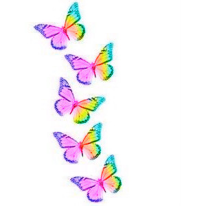 Butterfly and rainbow clipart 