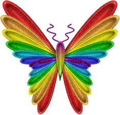 Butterfly and rainbow clipart 