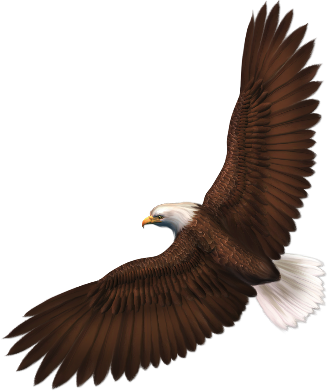 Transparent Eagle PNG Picture 