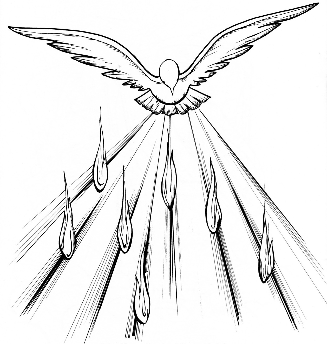 clip art holy spirit dove - Clip Art Library.