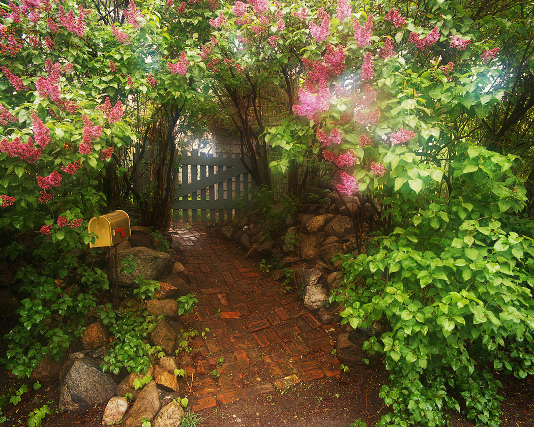 Free Garden Door Cliparts, Download Free Garden Door Cliparts png