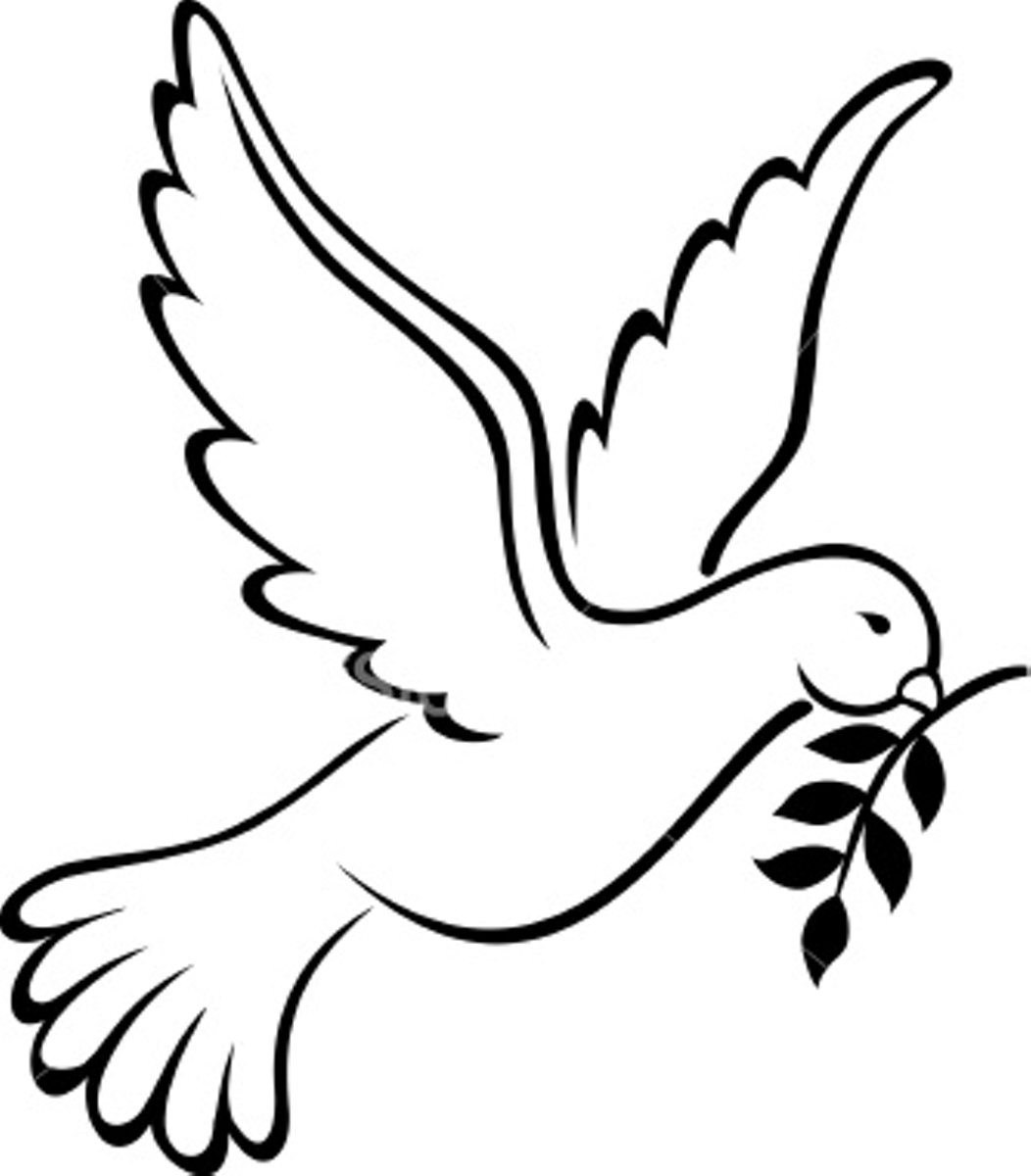 Dove olive branch icon clipart png 