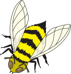 Insects Clipart 
