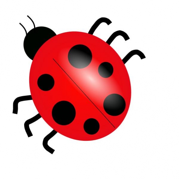Bugs And Insects Clipart 