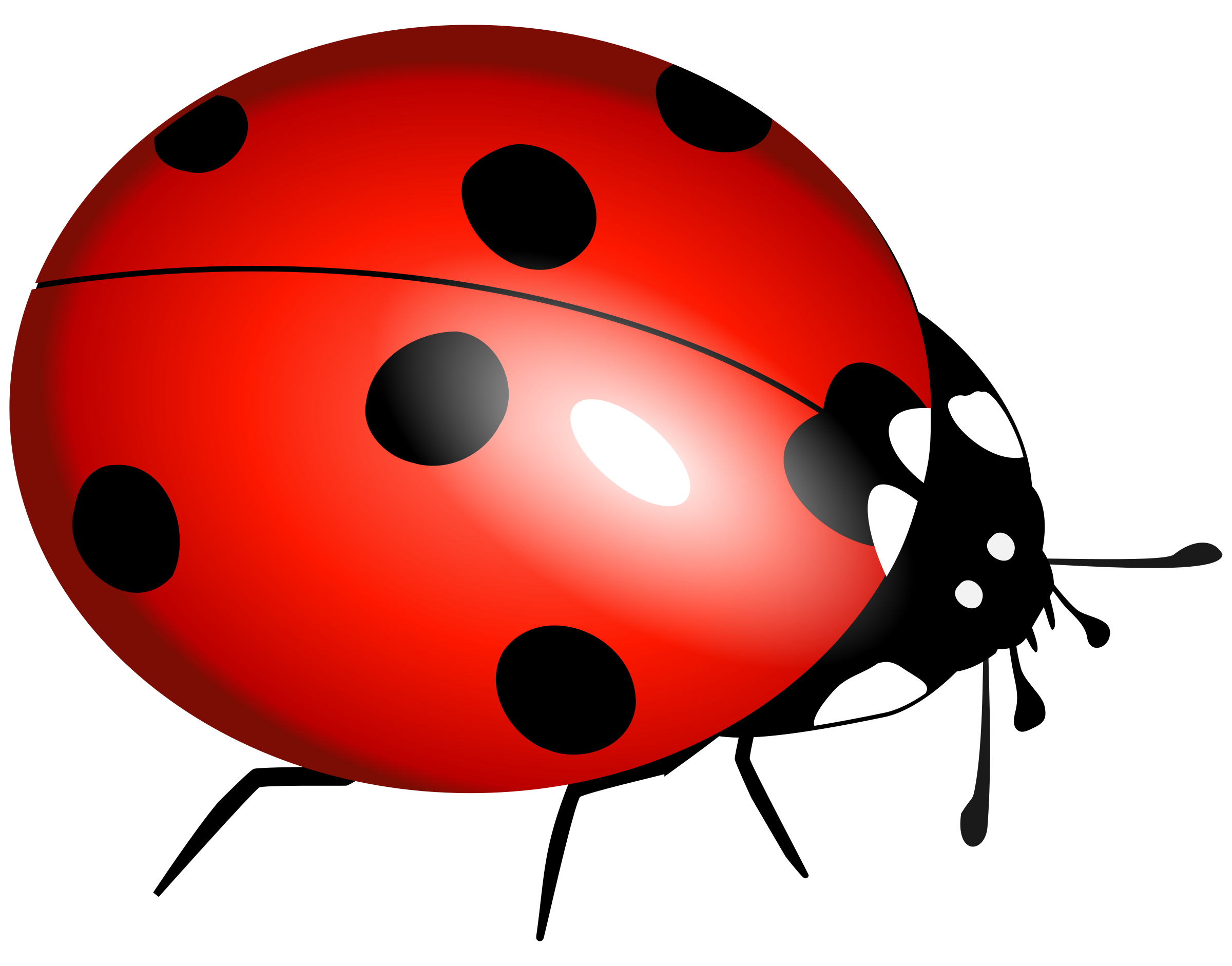 Bugs clipart png 