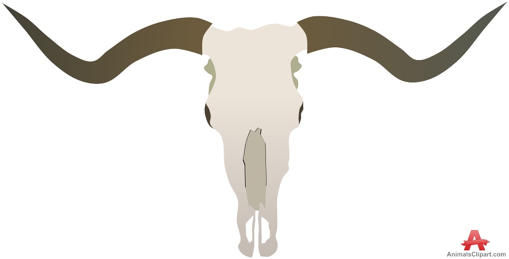 Bull Horns and Head Skull Clipart 