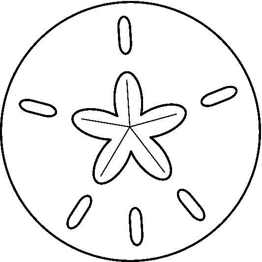 Best Sand Dollar Clip Art 