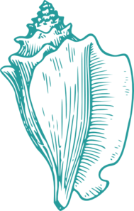 Conch Teal Clip Art at Clker 