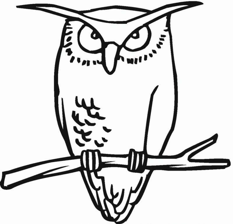Great Horned Owl Coloring Page 