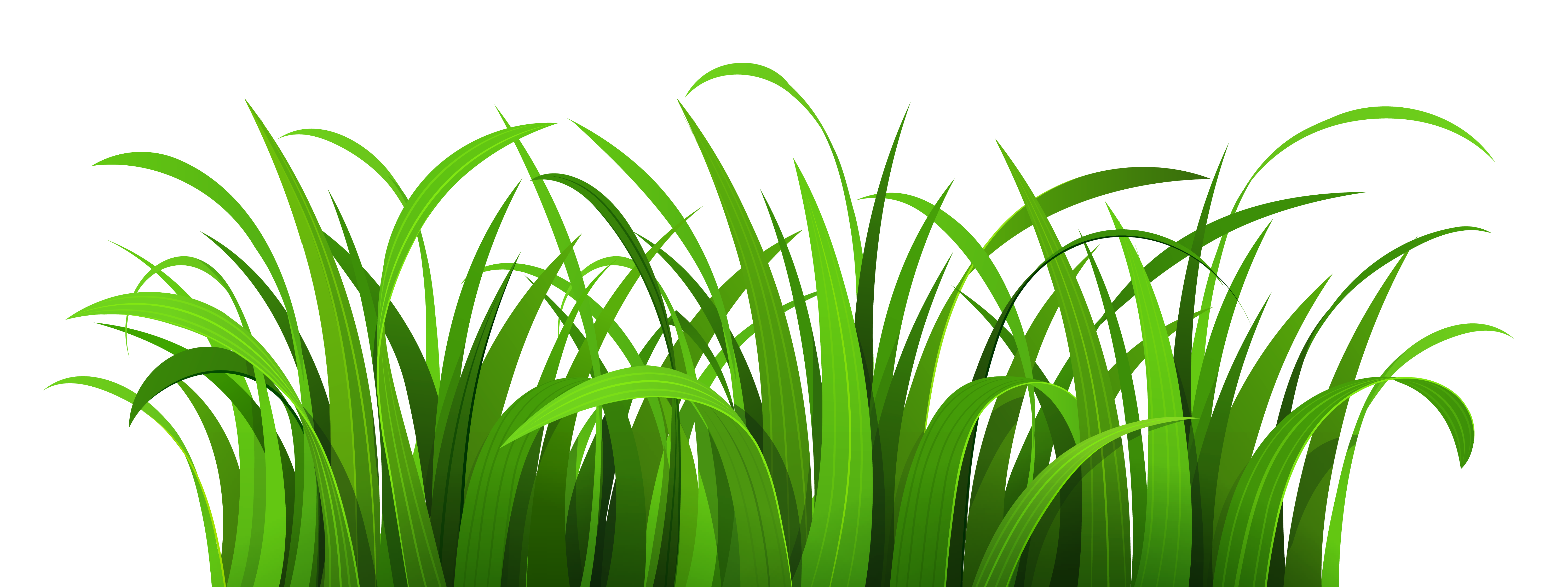 Growing grass clipart 