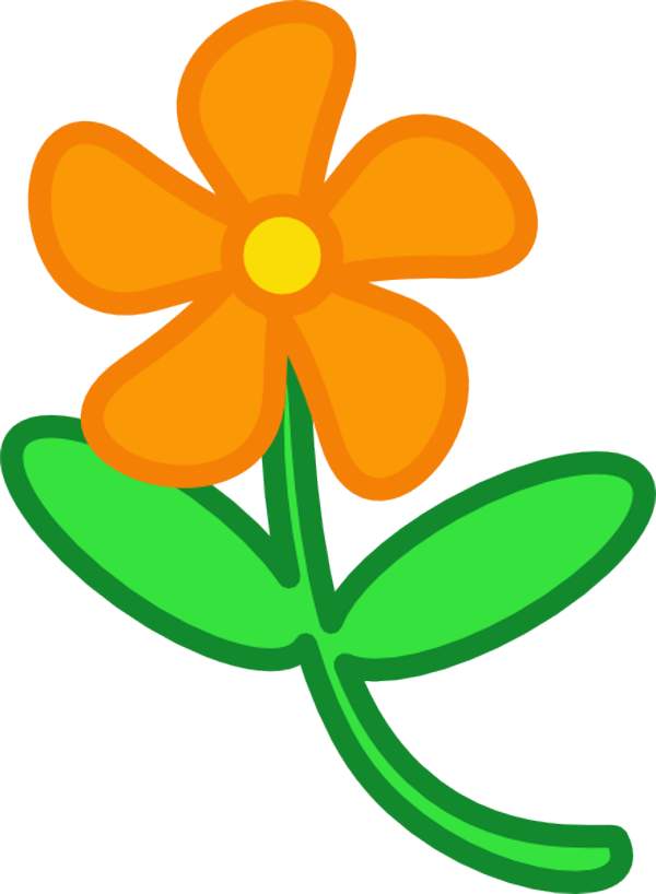 Orange Flower Clipart 