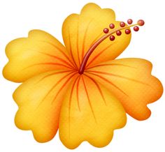 Orange hawaiian flower clipart 