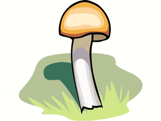Psychedelic mushroom clipart 